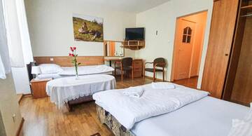 Фото номера Трехместный номер с основными удобствами Отель Dworek Brodowo Restauracja Hotel Przyjęcia г. Brodowo 3